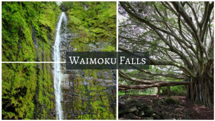 Waimoku Falls Waimoku Falls - Coolest waterfalls in hawaii