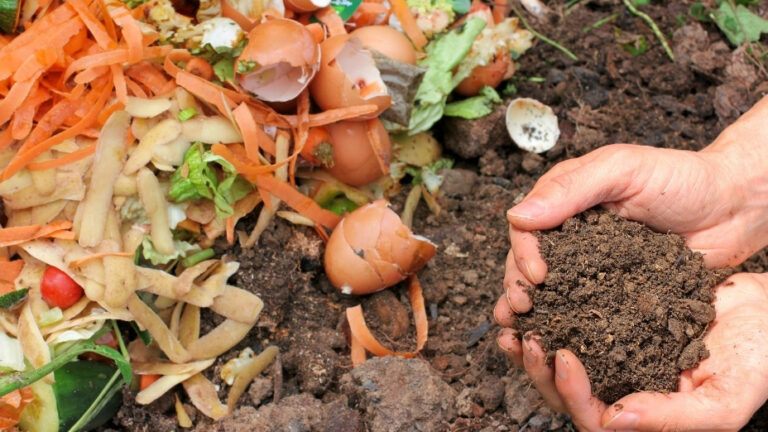 Is It Okay to Compost in an Airtight Container?