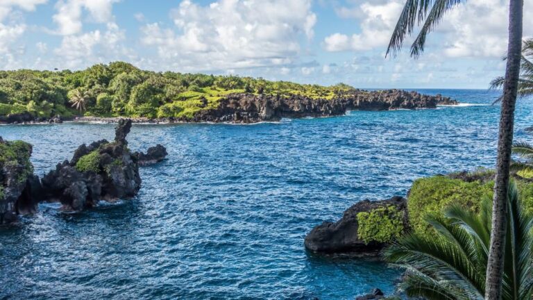Top 21 Things Maui is Known For & Famous For