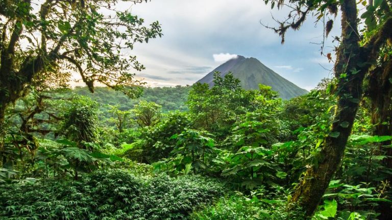 Top 15 Things Costa Rica is Known For