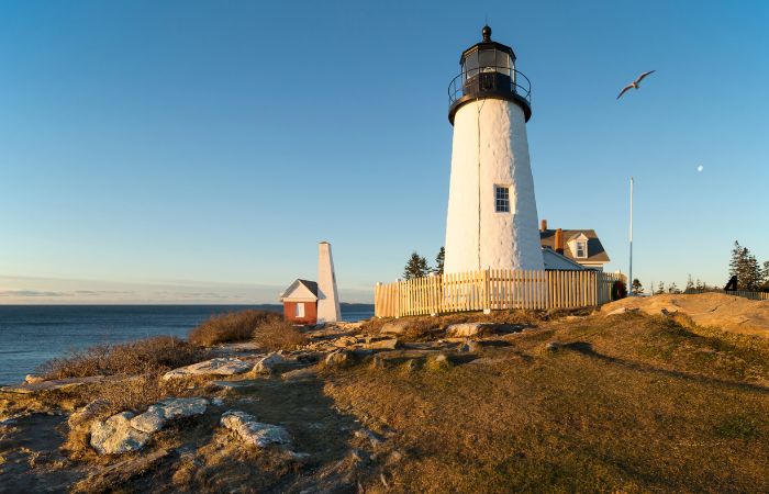 Top 24 Things Maine is Known For & Famous For | Lyfepyle