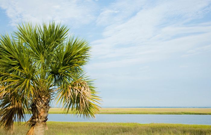 Top 21 Things South Carolina is Known For & Famous For | Lyfepyle