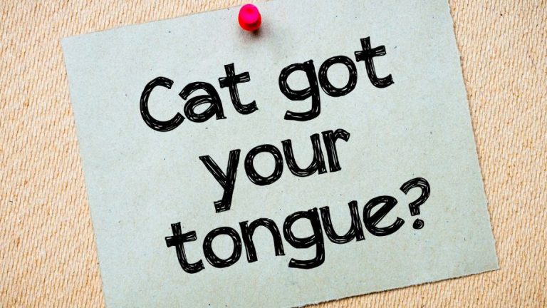 “Cat Got Your Tongue” – The Origin of the Phrase