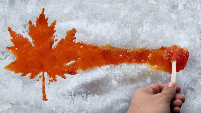 The Sweet Success of the Canadian Maple Syrup Industry – A Liquid Gold Heritage