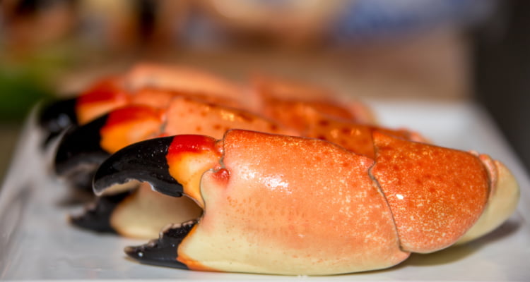 Succulent Miami Stone Crab