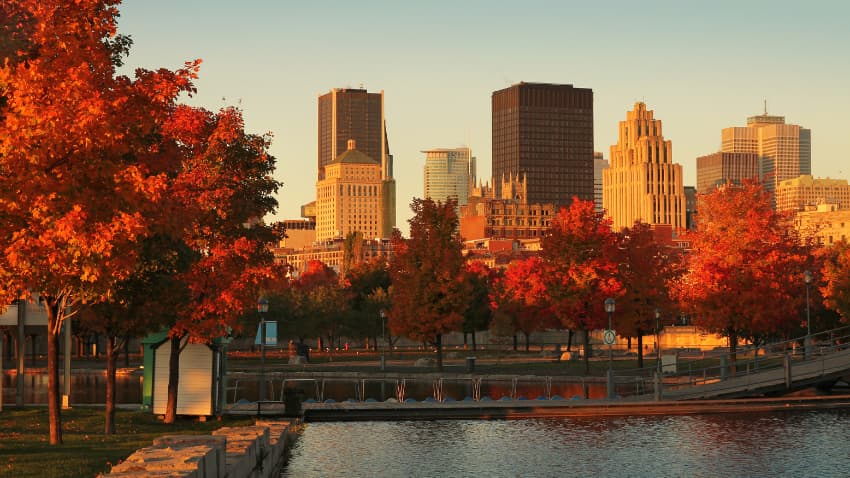 A beautiful Autumn day in Montreal.