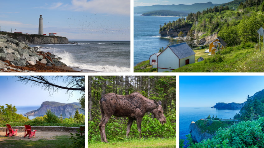 Forillon National Park, Quebec.