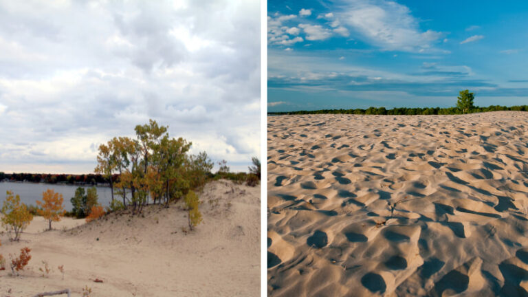 9 Things to do at Sandbanks Provincial Park, Ontario – A Traveler’s Guide